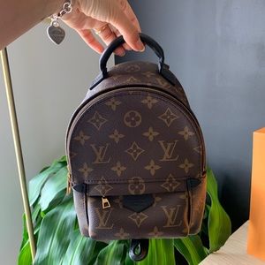 LOUIS VUITTON PALM SPRING MINI BAG ❤️
